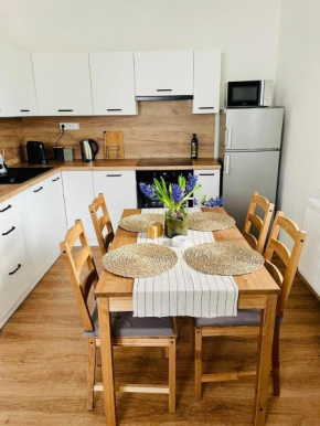 Rodinný apartmán v Karlovicích